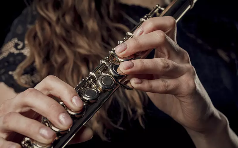 Clases de música en Tres Cantos Flauta